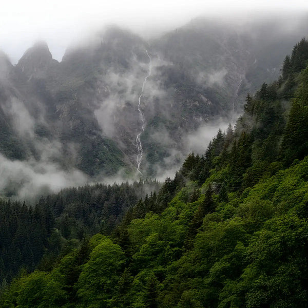 Wald mit Bergen und einem kleinen Wasserfall im Hintergrund.