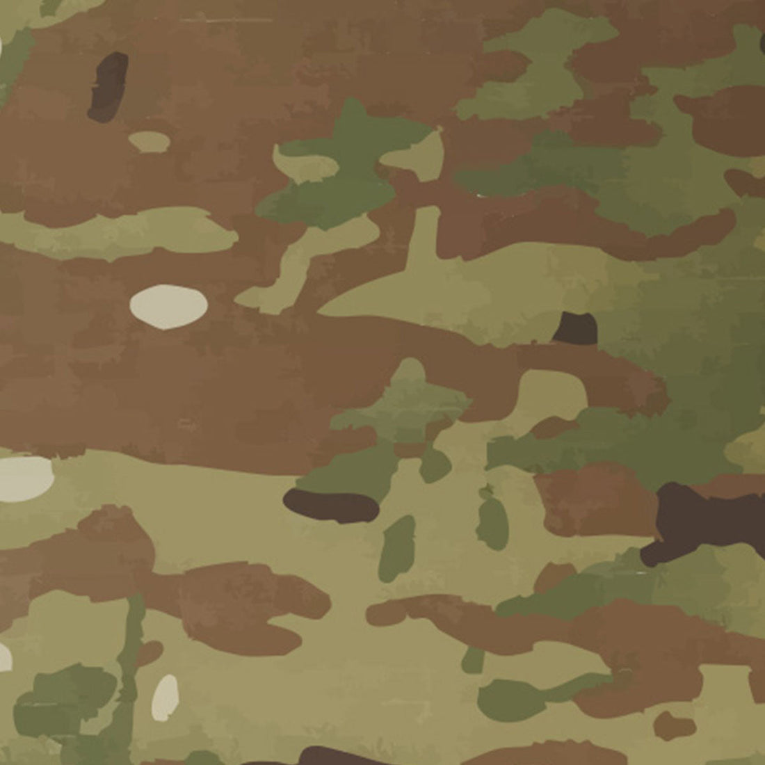 MultiCam