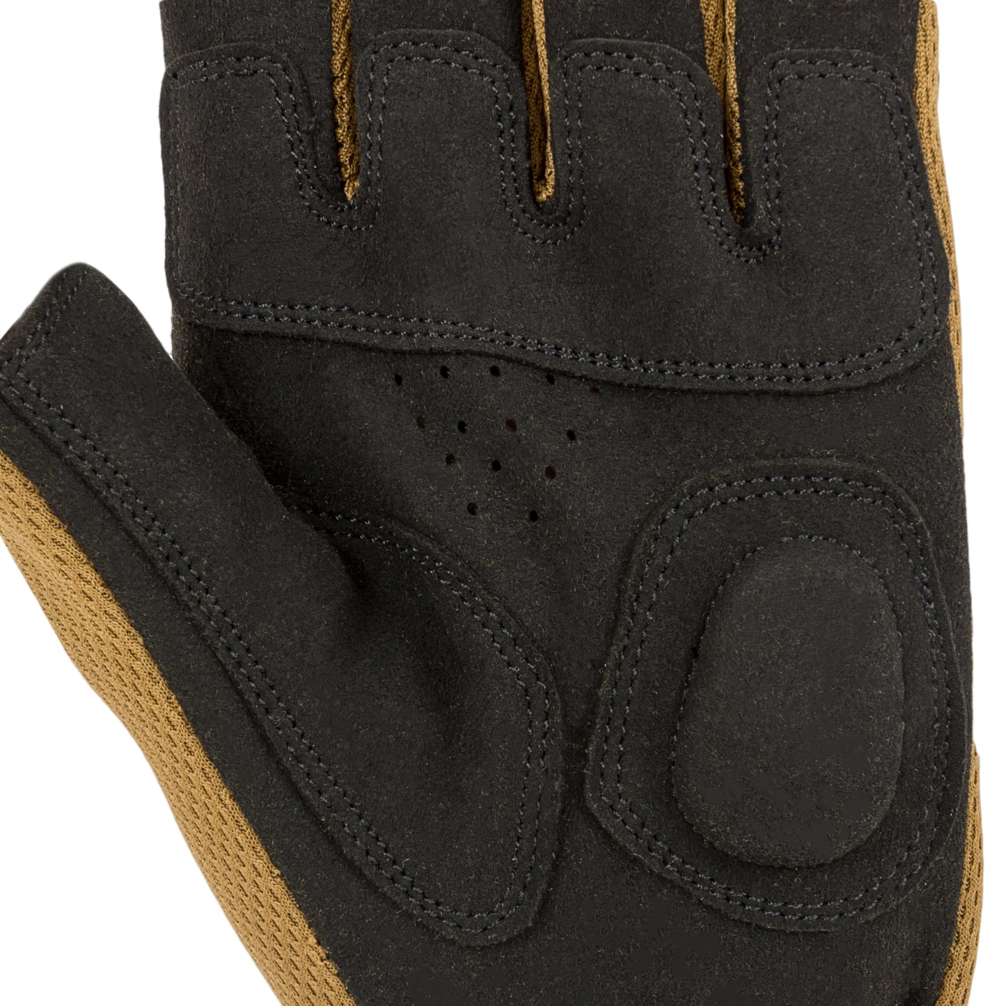 Fingerlose Handschuhe Raptor