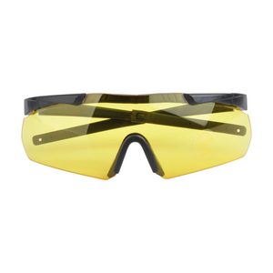 Schutzbrille S01