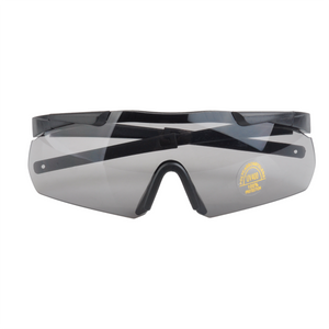 Schutzbrille S01