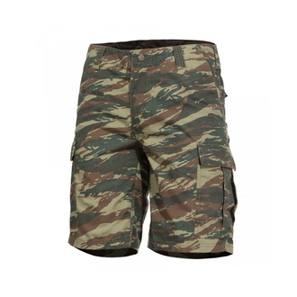 Hose BDU 2.0 Short Pants Camo