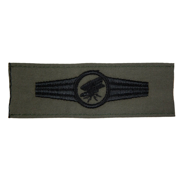 fritzsch-taetigkeitsabzeichen-personal-fernspaeheinsatz-ansicht-2