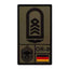 Rank Patch Oberstabsfeldwebel Luftwaffe