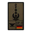 Rank Patch Oberstarzt Luftwaffe