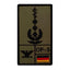Rank Patch Oberstarzt Luftwaffe