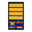 Rank Patch Kapitän zur See
