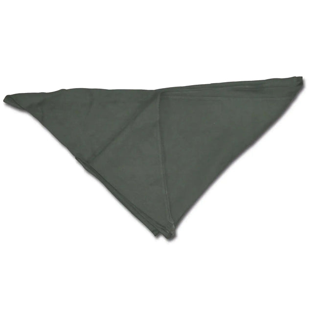 bundeswehr-original-bw-dreiecktuch-gebraucht-ansicht-3