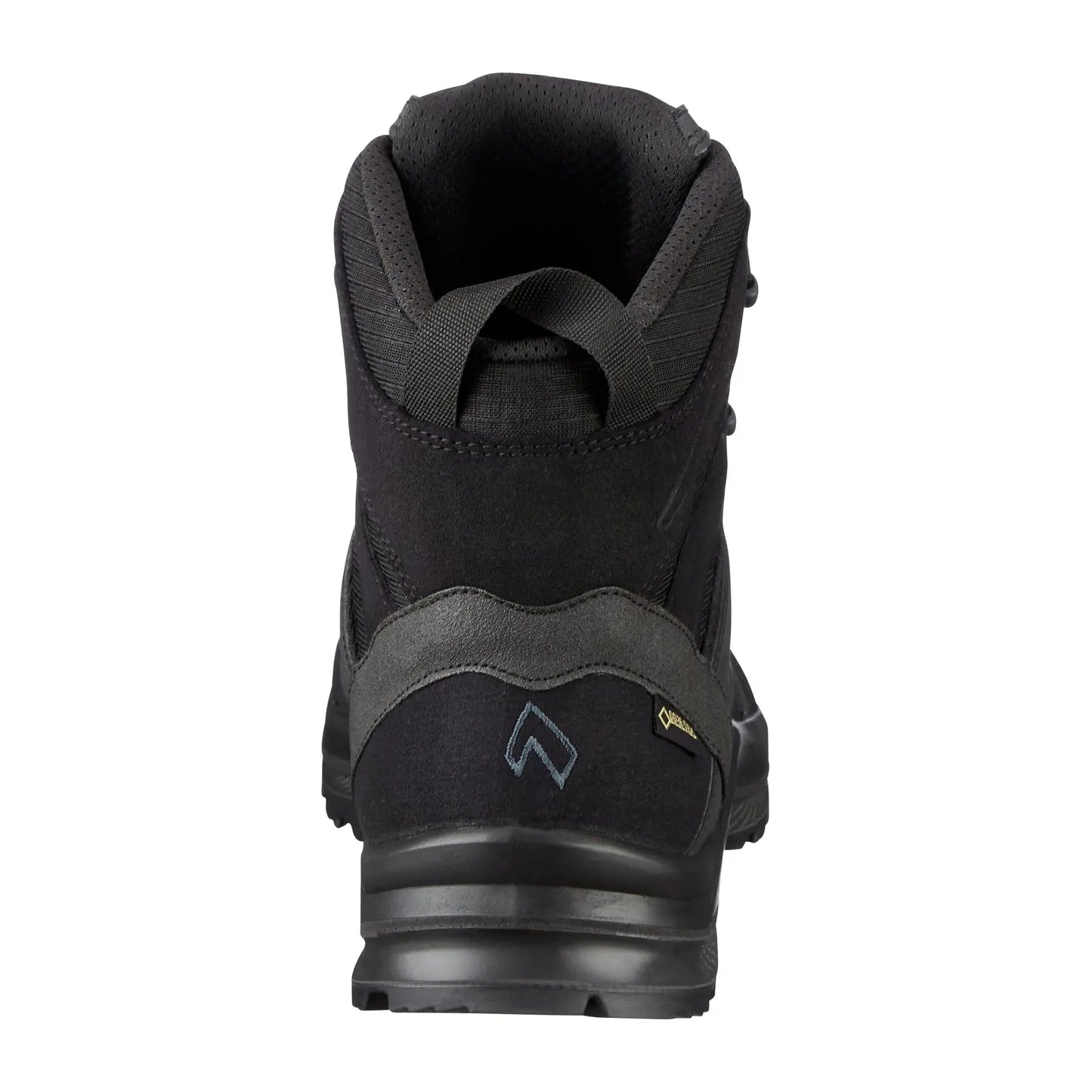 Funktionsschuh Black Eagle Athletic 2.1 GTX mid