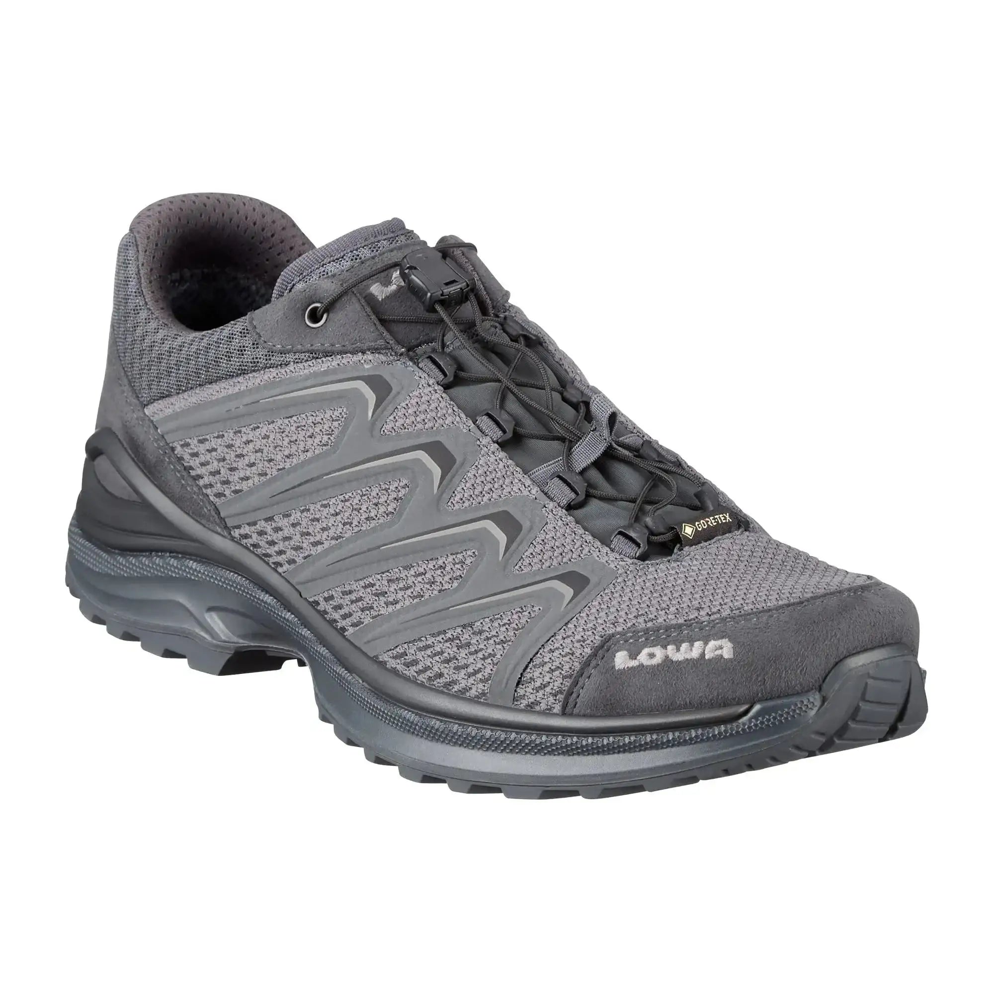 LOWA Schuh Maddox GTX Lo TF online kaufen
