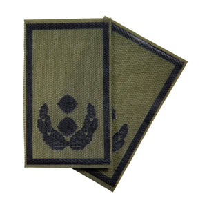 Oberstleutnant