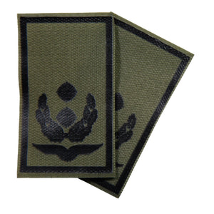 Oberstleutnant