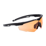 Revision Brille Stingerhawk Basic - ASMC