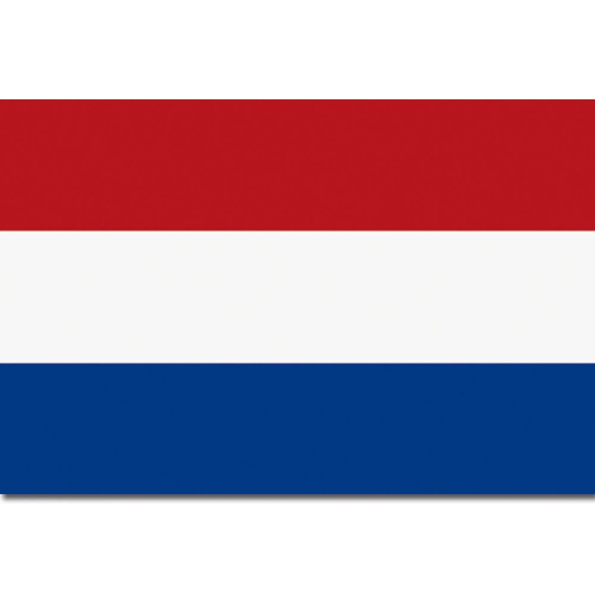 Diverse Flagge Niederlande - ASMC