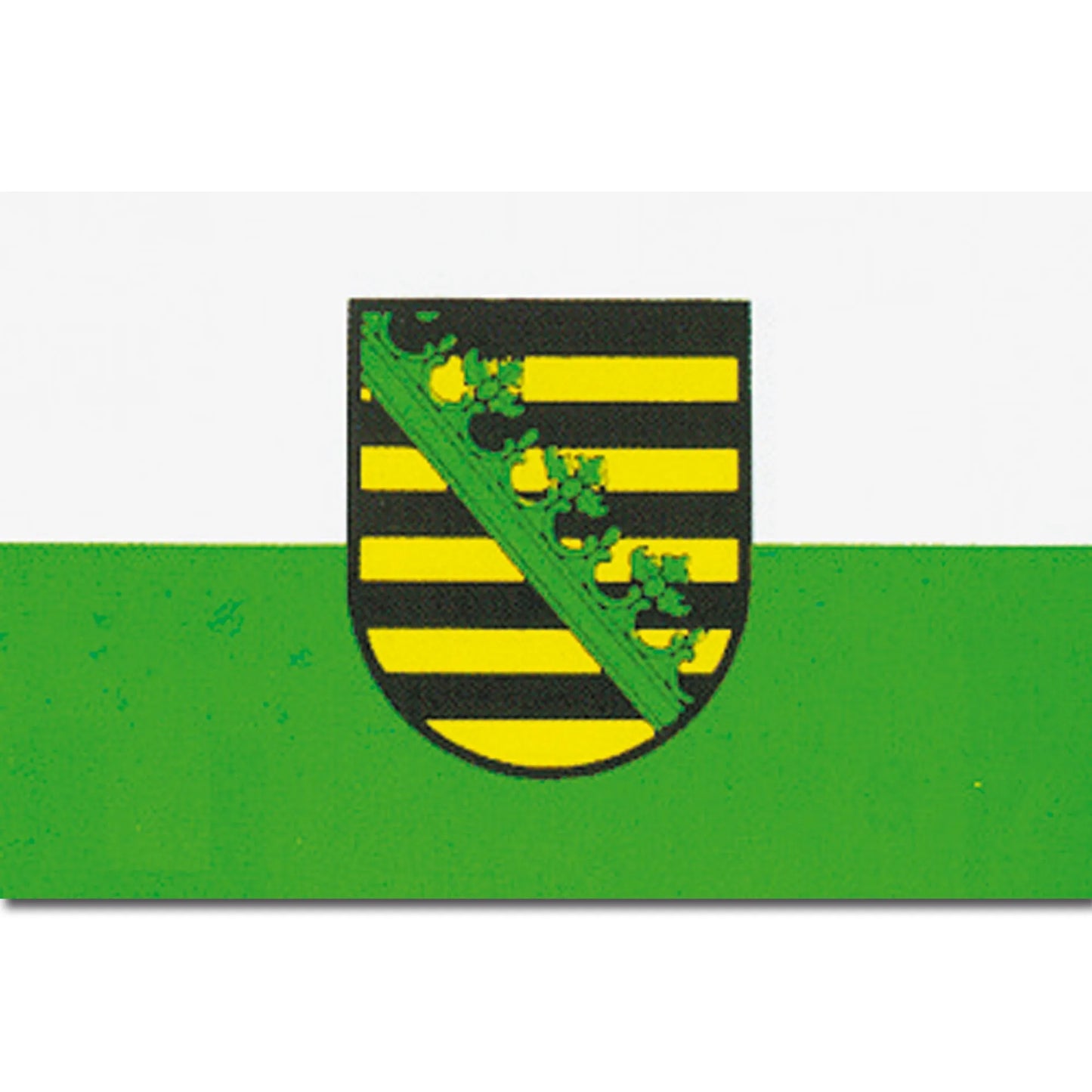 Diverse Flagge Sachsen - ASMC