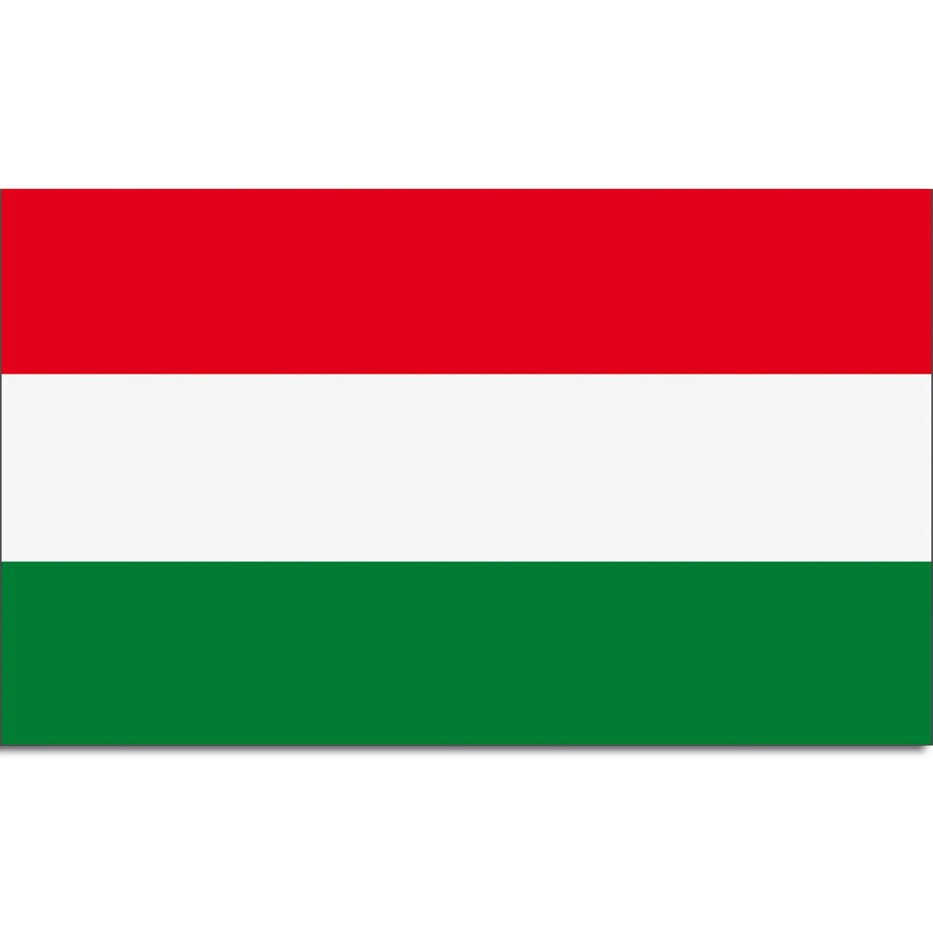 Diverse Flagge Ungarn - ASMC