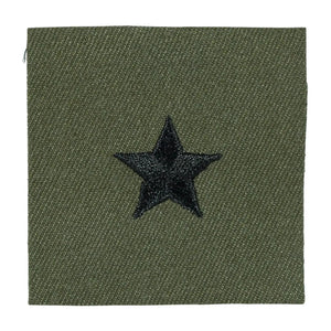 Brigadier General