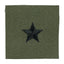 Brigadier General