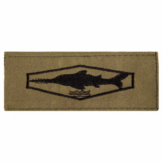 BW Tätigkeitsabzeichen Schwimmtaucher