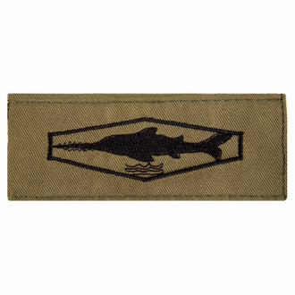 BW Tätigkeitsabzeichen Schwimmtaucher