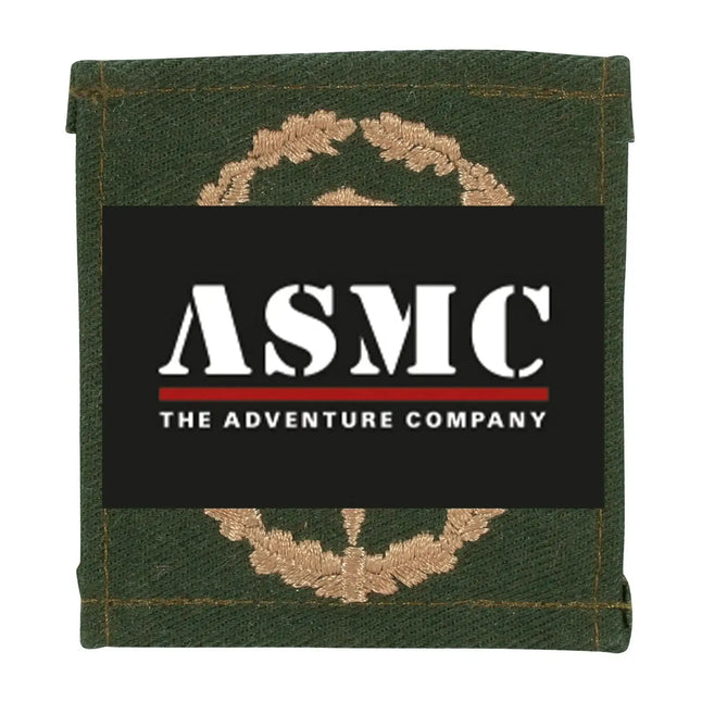 asmc-bw-leistungsabzeichen-oliv-ansicht-1