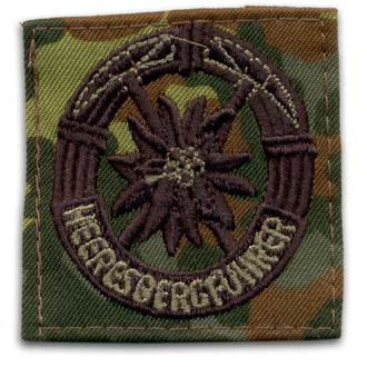 Abzeichen BW Heeresbergführer