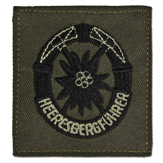 Abzeichen BW Heeresbergführer