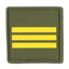 Dienstgradabzeichen Frankreich Major oliv tarn