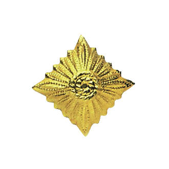 Dienstgradstern