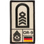 Rank Patch Oberstabsfeldwebel