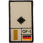 Rank Patch Leutnant