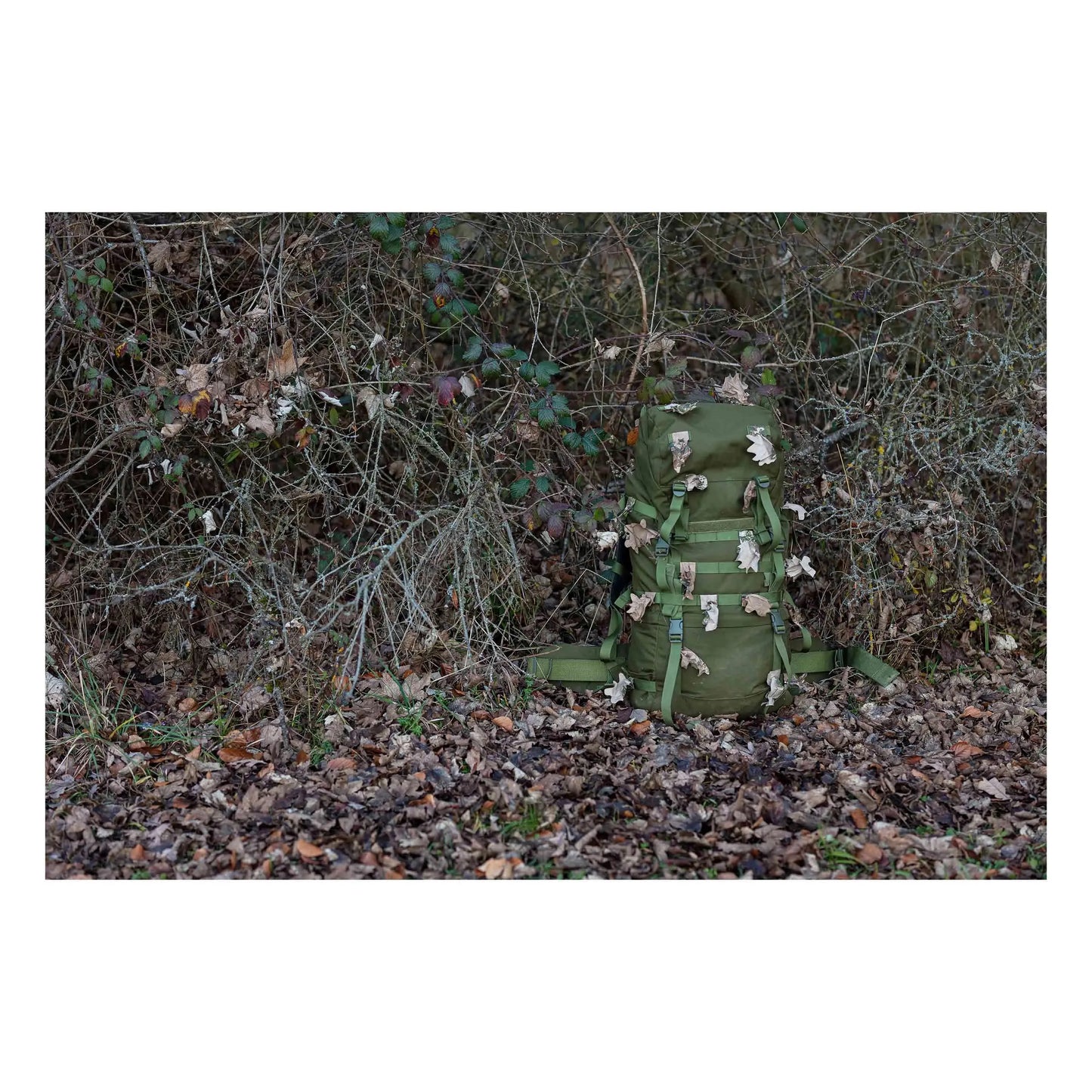 Ghosthood Tarnzubehör 12 Blattzuschnitte - ASMC