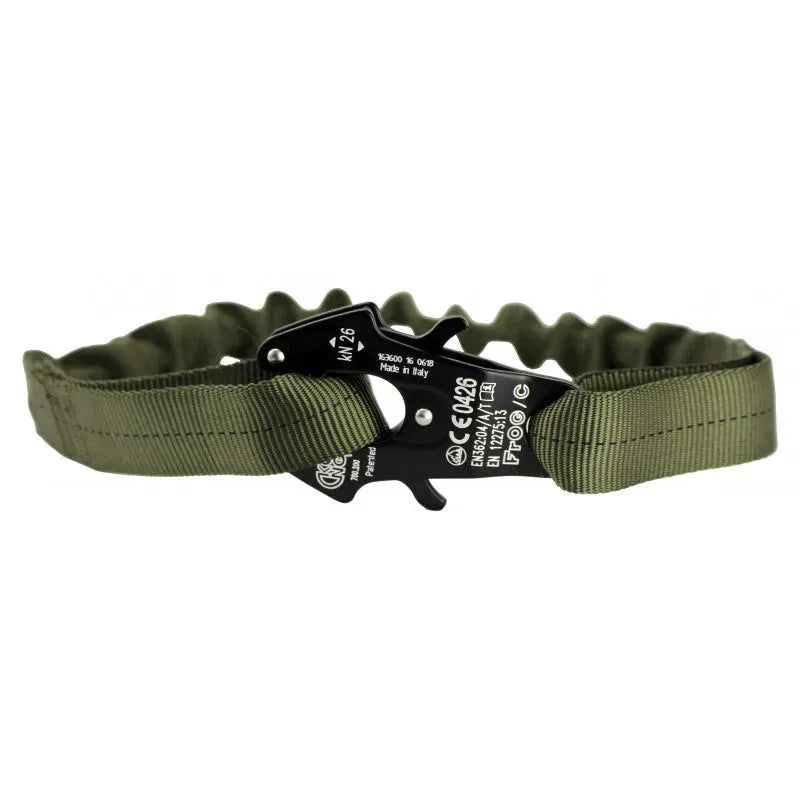 Lanyard Frog