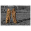 Tarnzubehör Ghost Legs