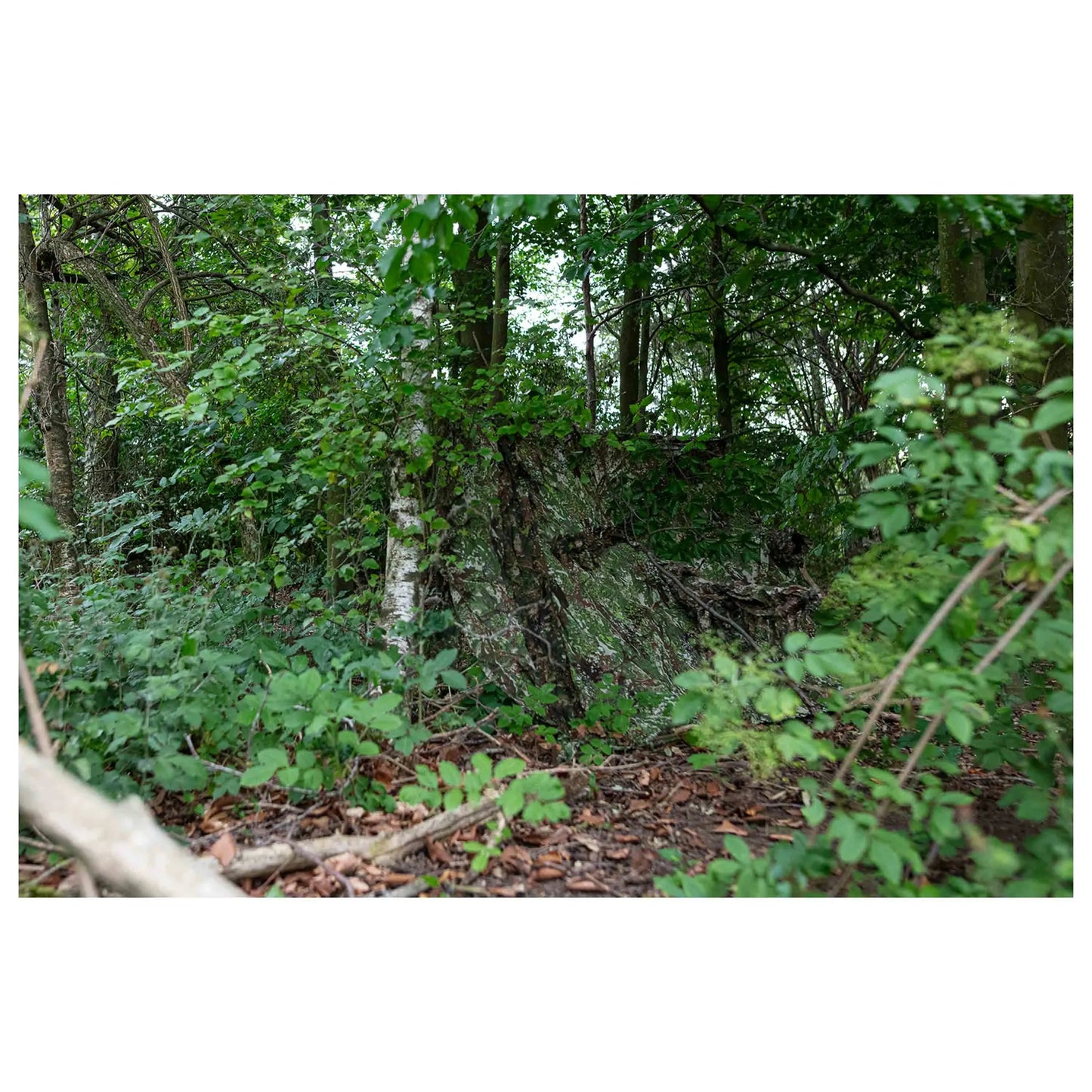 Ghosthood Tarnnetz Recce Net - ASMC