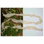 Tarnstreifen Strip Solid