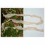 Ghosthood Tarnstreifen Strip Solid - ASMC