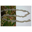 Ghosthood Tarnstreifen Strip Solid - ASMC