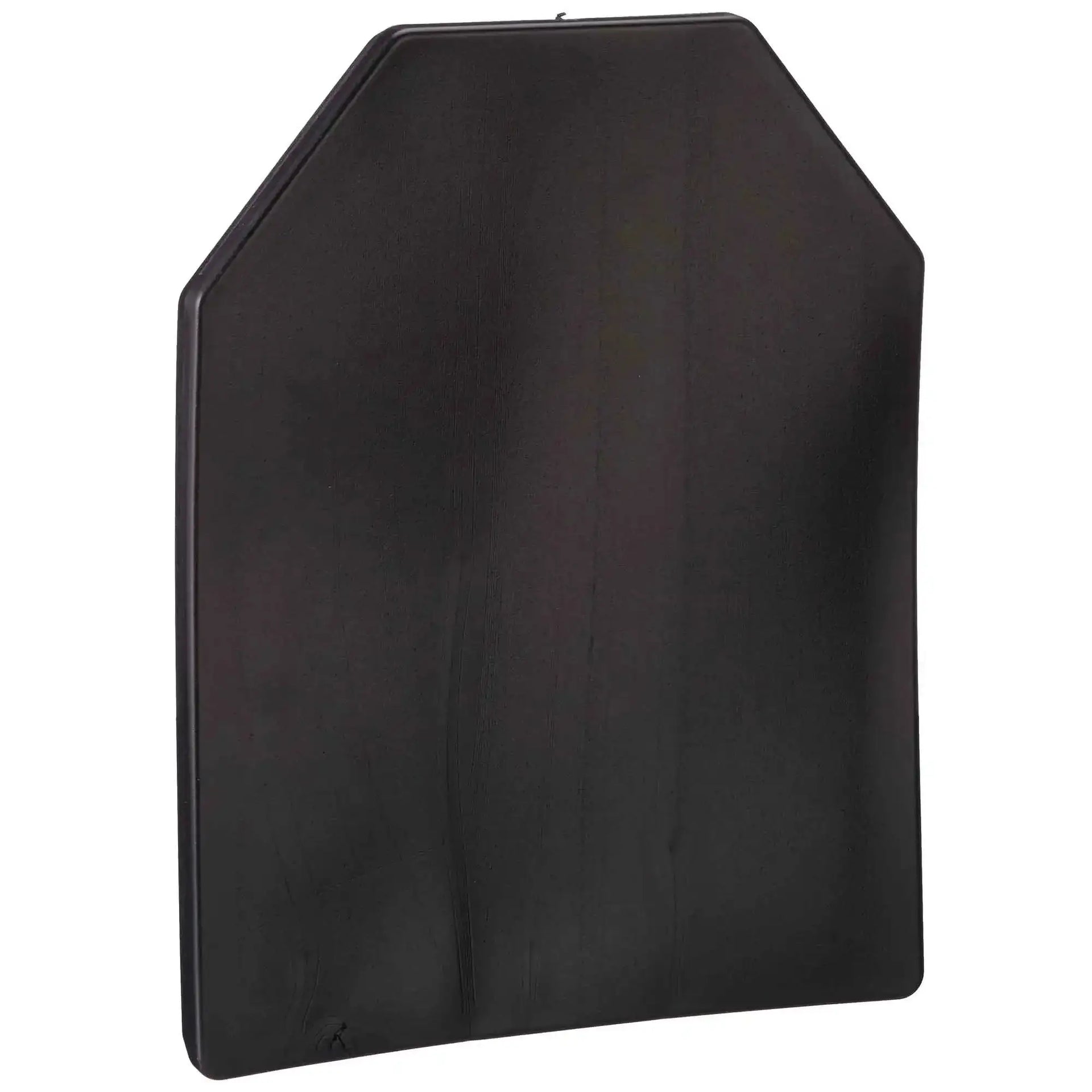 pirate-arms-trainingsplatte-sapi-dummy-plate-ansicht-2