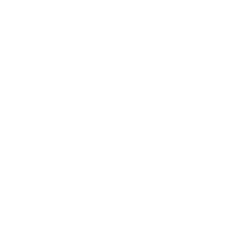 Action Army