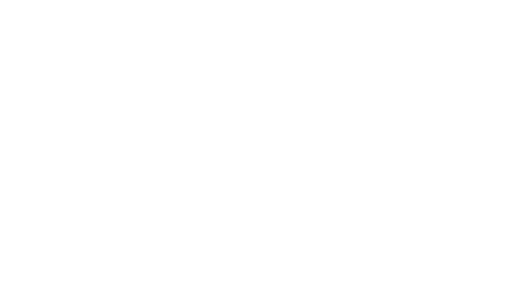 Combat Zone
