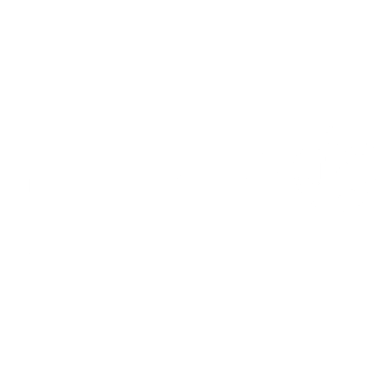 FN-Herstal