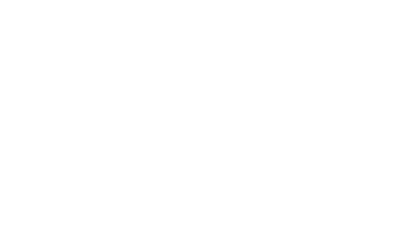 Wadie Munition