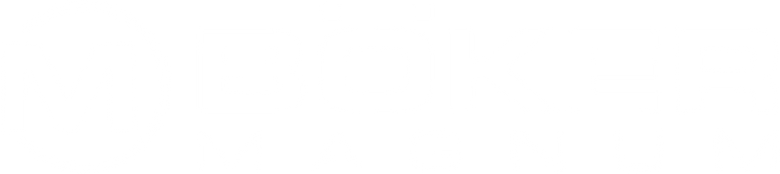 Böker Magnum