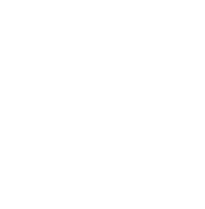Puma Tec