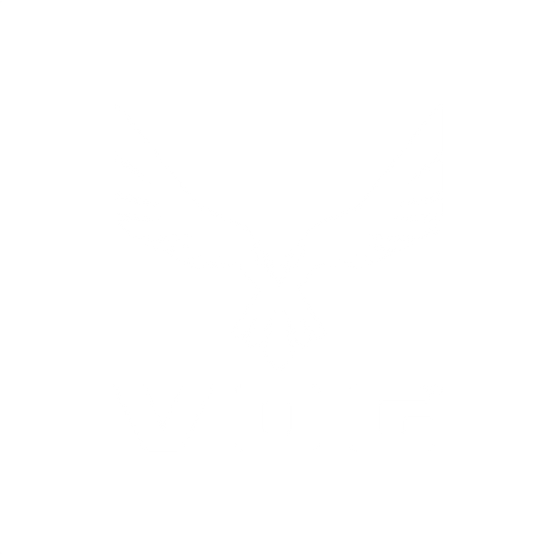 VOG