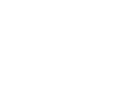 Action Army