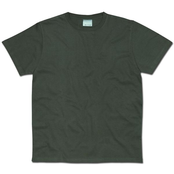 T-Shirt Vintage Industries Wing oliv