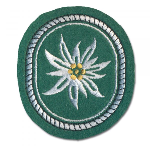 Abzeichen 1. Gebirgsdivision Textil