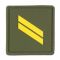 Dienstgradabzeichen Frankreich Sergent oliv bunt